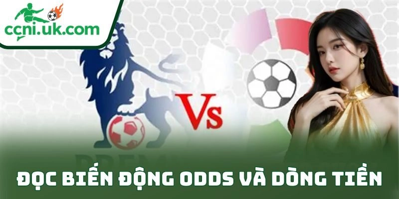 Đọc biến động odds và dòng tiền