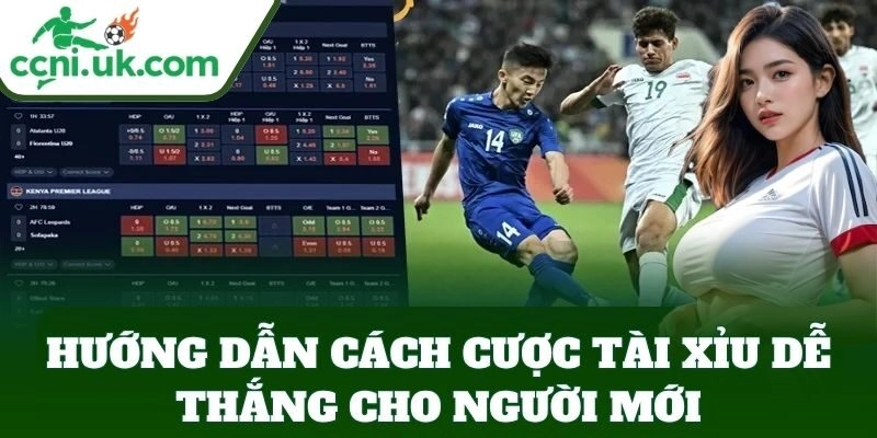 Hướng dẫn Cách Cược Tài Xỉu Dễ Thắng cho người mới