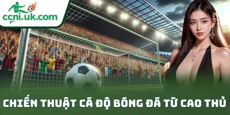 Chiến Thuật Cá Độ Bóng Đá Từ Cao Thủ