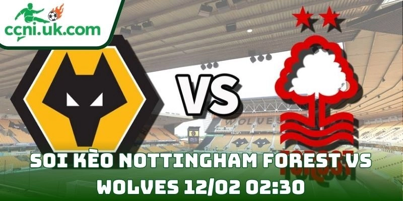 Soi kèo Nottingham Forest Vs Wolves (12/02 02:30| Ngoại hạng Anh)